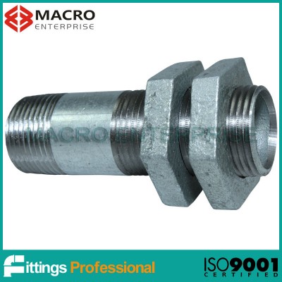 EN 10241 Galvanized long screw with two nuts